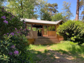 Houten bosvilla met sauna en 2 slaapkamers